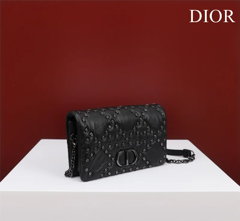 WF - Dior Bag - 294