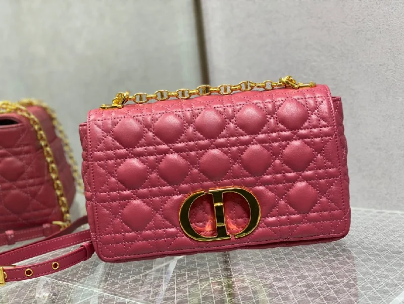 WF - Dior Bag - 315