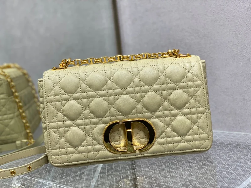 WF - Dior Bag - 317